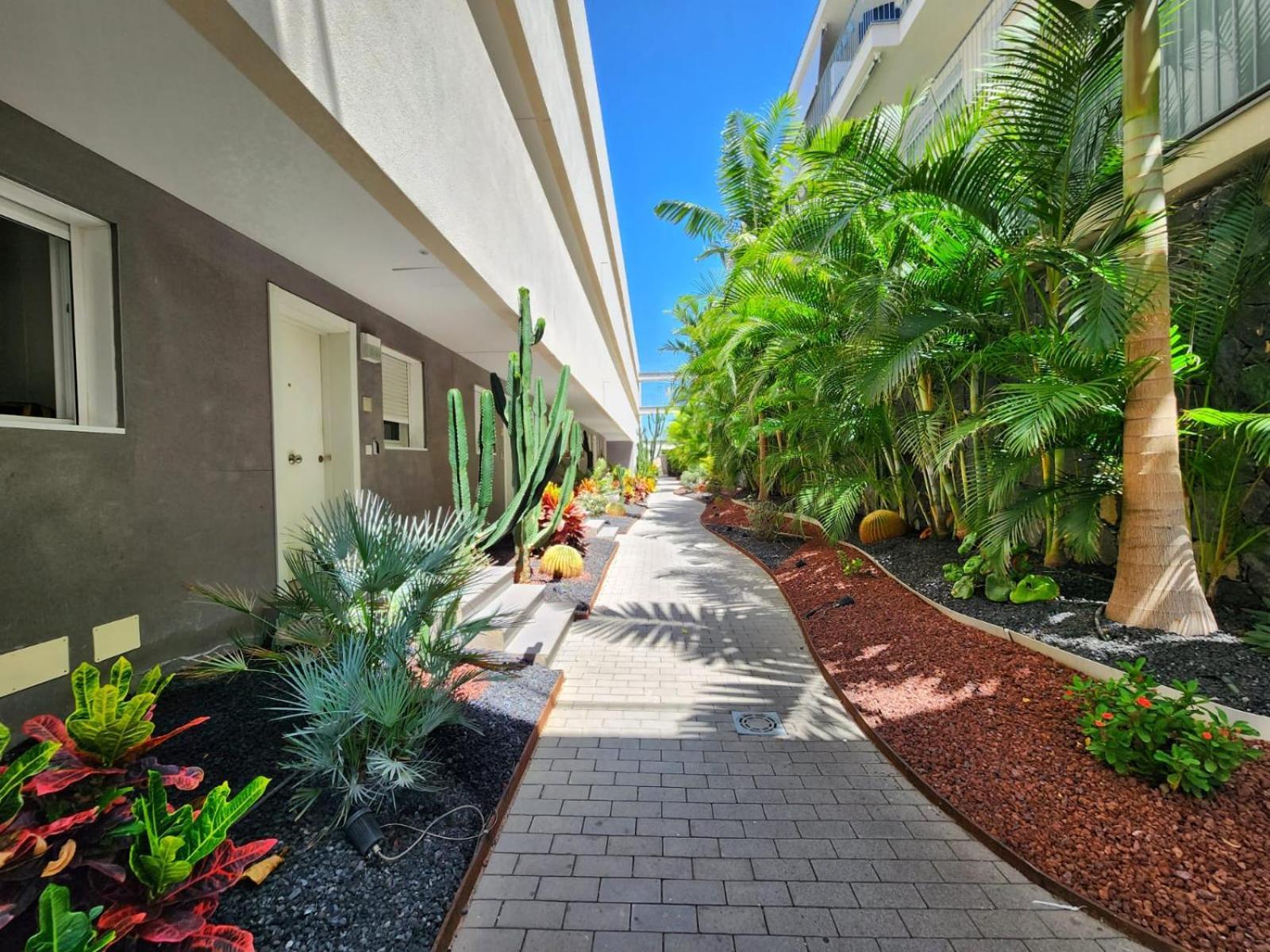 Chill Out Tesoro Apartment Costa Adeje  Exterior photo